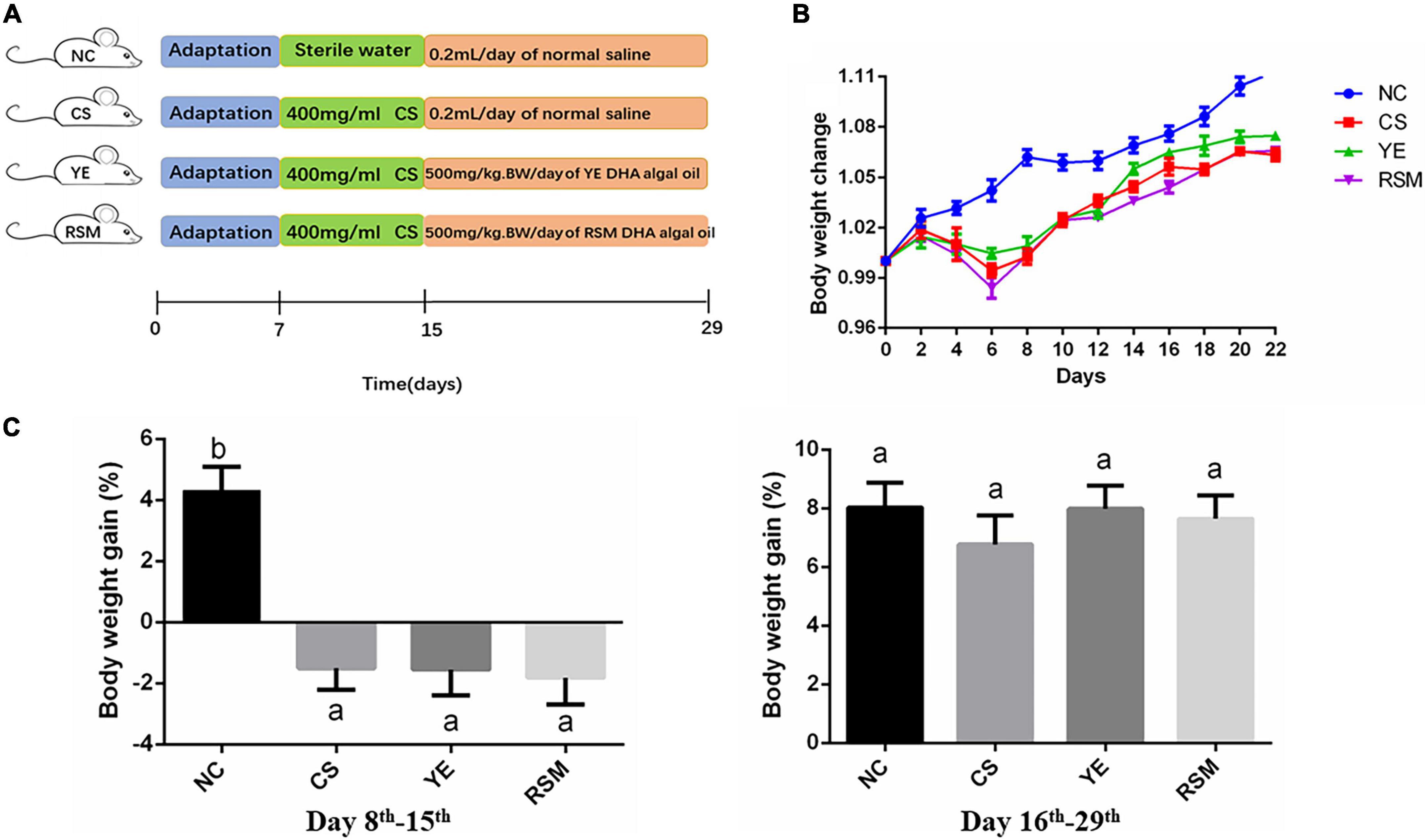 Algal oil alleviates antibiotic-induced intestinal inflammation by regulating gut microbiota and repairing intestinal barrier